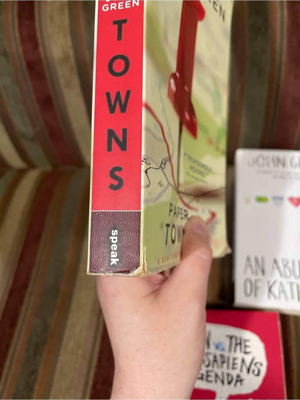 Simon vs. the Homo sapiens Agenda, Paper Towns and the Abundance of Katherines - Picture 4 of 5